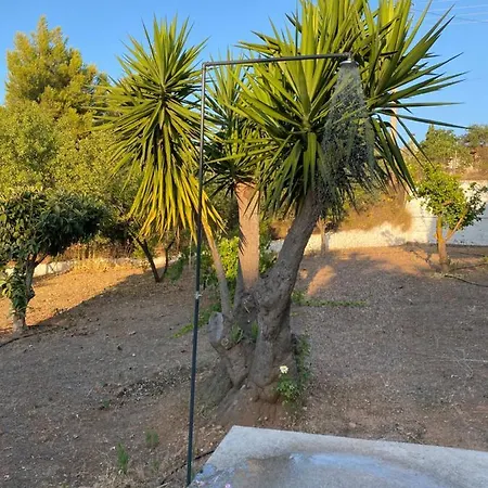 St Minas Seaview Villa Chalkís